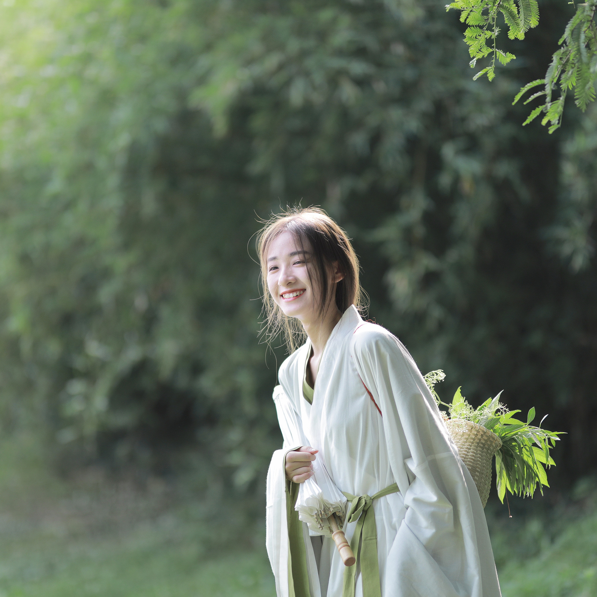 武田观柳（身份：恶德实业家、操纵鸦片贸易） - 短剧分集全集在线观看 - 网页影视